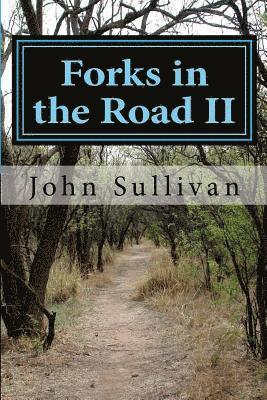 bokomslag Forks in the Road II: Small town lives and lessons