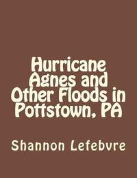 bokomslag Hurrican Agnes and Other Floods in Pottstown, PA