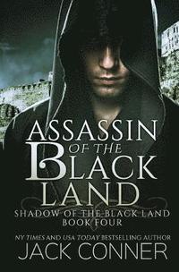 bokomslag Assassin of the Black Land