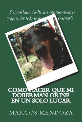 bokomslag Como Hacer que Mi Doberman Orine en un Solo Lugar