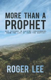bokomslag More Than a Prophet: Key Lessons in Raising Forerunners from the Life of John the Baptist