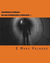 bokomslag Schoolhouse to Jailhouse: the cost of miseducation & reeducation