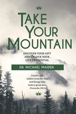 Michael Maiden - Take Your Mountain: Discover Your Gift and Unlock Your Potential, Häftad