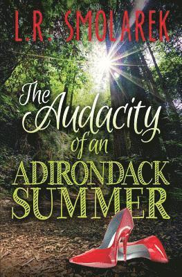 Audacity of an Adirondack Summer 1