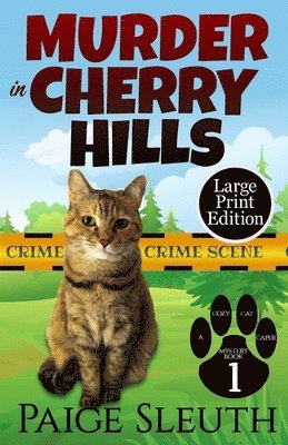 Murder in Cherry Hills 1