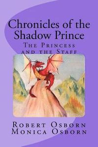 bokomslag Chronicles of the Shadow Prince: The Princess and the Staff