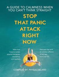 bokomslag Stop that Panic Attack Right Now: A guide to calmness when you can't think straight.