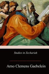 bokomslag Studies in Zechariah