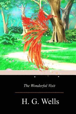 The Wonderful Visit 1