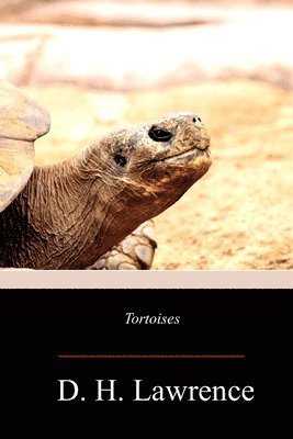 Tortoises