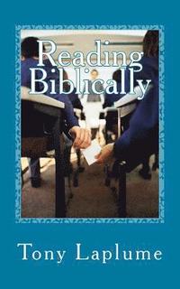bokomslag Reading Biblically: An Accessible Tour of Every Book
