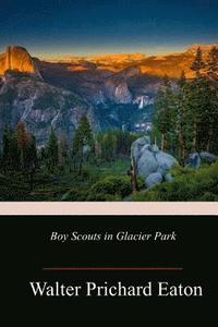bokomslag Boy Scouts in Glacier Park