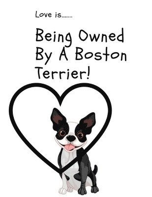 Love is...Being Owned By A Boston Terrier 1