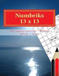 bokomslag Numbriks 13 x 13 - 250 logical puzzles - Bronze + Silver + Gold