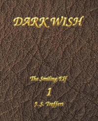 bokomslag Dark Wish