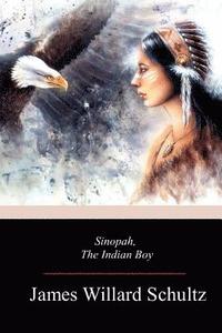 bokomslag Sinopah, the Indian Boy