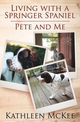 bokomslag Living with a Springer Spaniel: Pete and Me