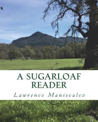 bokomslag A Sugarloaf Reader: A Cultural History of Sugarloaf Ridge State Park
