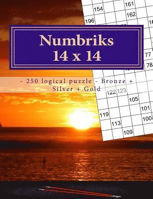 bokomslag Numbriks 14 X 14 - 250 Logical Puzzle - Bronze + Silver + Gold: Easy