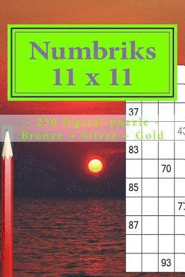 bokomslag Numbriks 11 X 11 - 250 Logical Puzzle - Bronze + Silver + Gold: Easy