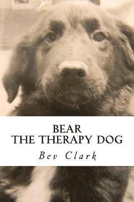 Bear: the therapy dog 1