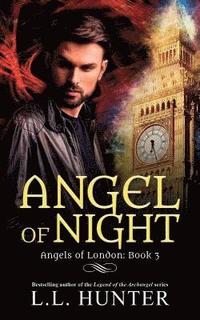 bokomslag Angel of Night