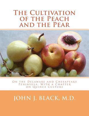 bokomslag The Cultivation of the Peach and the Pear: On the Delaware and Chesapeake Peninsula, With a Chapter on Quince Culture