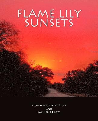 Flame Lily Sunsets: A Rhodesian Railway Journey from Bannockburn to Malvernia in the 1950's 1