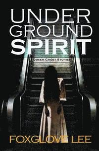 bokomslag Underground Spirit