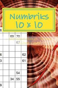 bokomslag Numbriks 10x 10 - 250 logical puzzles - Bronze + Silver + Gold