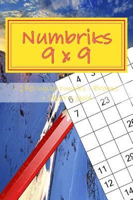 bokomslag Numbriks 9 X 9 - 250 Logical Puzzles - Bronze + Silver + Gold: Easy