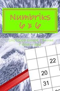 bokomslag Numbriks 6 x 6 - 250 logical puzzles - Bronze + Silver + Gold