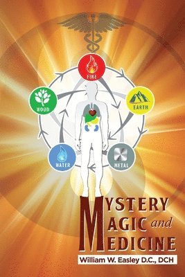 bokomslag Mystery, Magic, and Medicine