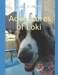bokomslag Adventures of Loki