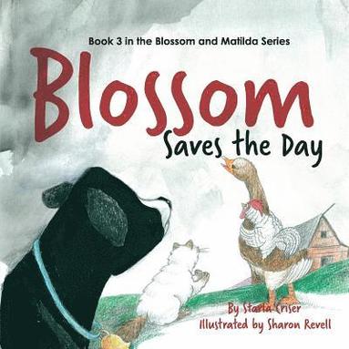 bokomslag Blossom Saves the Day