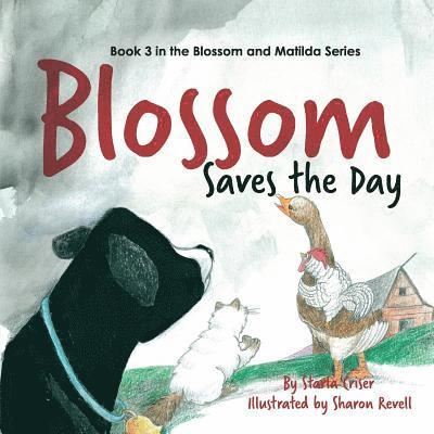 Starla Criser - Blossom Saves the Day, Häftad
