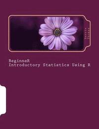 bokomslag Beginner Introductory Statistics Using R