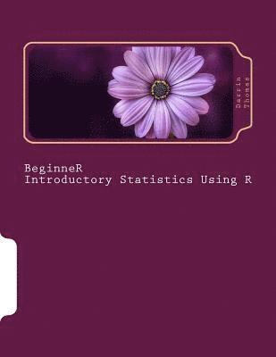 bokomslag Beginner Introductory Statistics Using R