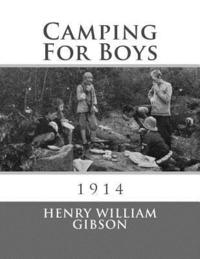 bokomslag Camping For Boys: 1914