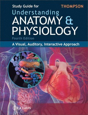 Gale Sloan Thompson - Study Guide for Understanding Anatomy & Physiology, Häftad