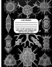 bokomslag Lab Notes