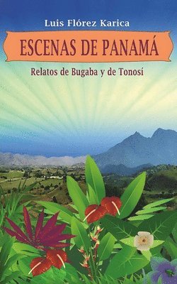 bokomslag Escenas de Panamá: Relatos de Bugaba y de Tonosí