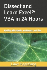 bokomslag Dissect and Learn Excel