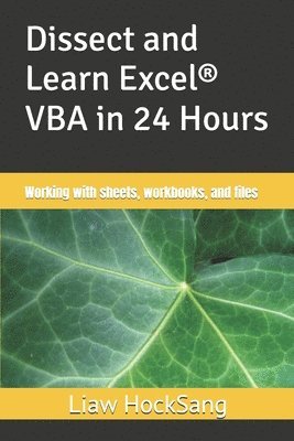 bokomslag Dissect and Learn Excel
