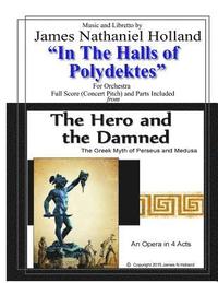 bokomslag In the Halls of Polydektes