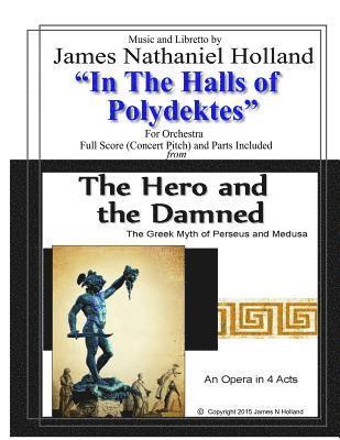 bokomslag In the Halls of Polydektes
