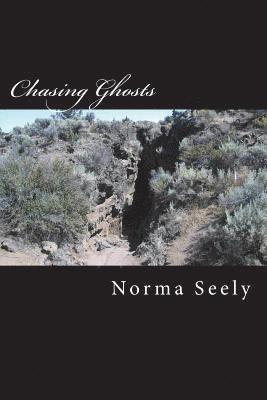 Norma Seely - Chasing Ghosts, Häftad