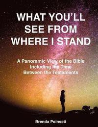 bokomslag What You'll See From Where I Stand: A Panoramic View of the Bible Including the Time Between the Testaments