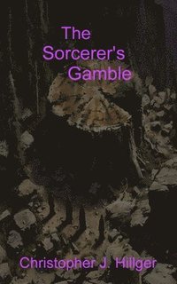 bokomslag Sorcerer's Gamble