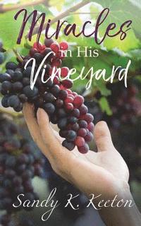 bokomslag Miracles in His Vineyard